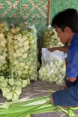 berita-rekomendasi-foto