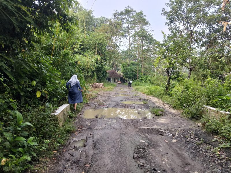 Kondisi infrastruktur jalan di Kampung Suminta, Desa Sukadaya, Kecamatan Cikulur, Kabupaten Lebak, Banten, masih menjadi persoalan serius yang belum tertangani selama sekitar 20 tahun. Warga kini mendesak Gubernur Banten Andra Soni segera turun tangan untuk memperbaiki jalan tersebut.