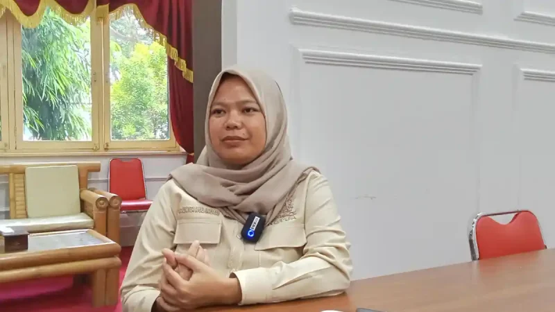 Ketua DPRD Kabupaten Lebak, Juwita Wulandari.