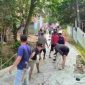 Puluhan Warga di Kampung Gerewel, Desa Karyajaya, Kecamatan Cimarga, Kabupaten Lebak, Banten saat melakukan perbaikan jalan dengan swadaya, Minggu (27/9/2026)